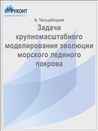 Задачи крупномасштабного моделирования эволюции морского ледяного покрова
