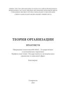 Теория организации