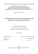 Термодинамические основы нанотехнологий: энтропия, свободная энергия Гиббса