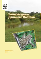 Земноводные Дальнего Востока