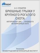 БРЮШНЫЕ ГРЫЖИ У КРУПНОГО РОГАТОГО СКОТА