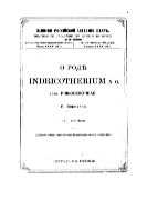 О роде Indricotherium n. g. (сем. Rhinocerotidae)