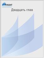 Двадцать глав