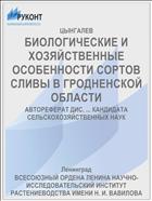 БИОЛОГИЧЕСКИЕ И ХОЗЯЙСТВЕННЫЕ ОСОБЕННОСТИ СОРТОВ СЛИВЫ В ГРОДНЕНСКОЙ ОБЛАСТИ