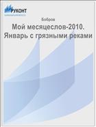 Мой месяцеслов-2010. Январь с грязными реками