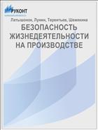 БЕЗОПАСНОСТЬ ЖИЗНЕДЕЯТЕЛЬНОСТИ  НА ПРОИЗВОДСТВЕ  