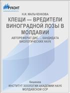 КЛЕЩИ — ВРЕДИТЕЛИ ВИНОГРАДНОЙ ЛОЗЫ В МОЛДАВИИ