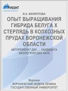 ОПЫТ ВЫРАЩИВАНИЯ ГИБРИДА БЕЛУГА Х СТЕРЛЯДЬ В КОЛХОЗНЫХ ПРУДАХ ВОРОНЕЖСКОЙ ОБЛАСТИ