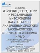 ИЗУЧЕНИЕ ДЕГРАДАЦИИ И РЕСТАВРАЦИИ МИТОХОНДРИЙ ФАКУЛЬТАТИВНО АНАЭРОБНЫХ ДРОЖЖЕЙ SACCHAROMYCEA CEREVISIAE В УСЛОВИЯХ I N VIVO