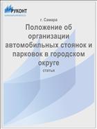 Положение об организации автомобильных стоянок и парковок в городском округе