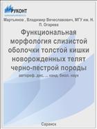 Функциональная морфология слизистой оболочки толстой кишки новорожденных телят черно-пестрой породы