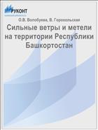 Сильные ветры и метели на территории Республики Башкортостан