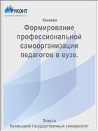 Формирование профессиональной самоорганизации педагогов в вузе.