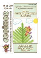 Летние открытия Совёнка. Серия 9. Вып. 6. 2014 г. Видимые подсказки
