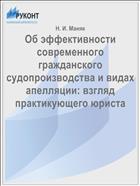 Об эффективности современного гражданского судопроизводства и видах апелляции: взгляд практикующего юриста