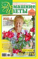 Домашние цветы