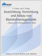 Ausrichtung, Vorrichtung und Abbau von Steinkohlenlagerstatte