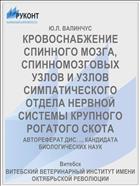 КРОВОСНАБЖЕНИЕ СПИННОГО МОЗГА, СПИННОМОЗГОВЫХ УЗЛОВ И УЗЛОВ СИМПАТИЧЕСКОГО ОТДЕЛА НЕРВНОЙ СИСТЕМЫ КРУПНОГО РОГАТОГО СКОТА