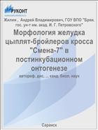 Морфология желудка цыплят-бройлеров кросса 