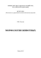 Морфология животных