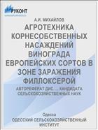 АГРОТЕХНИКА КОРНЕСОБСТВЕННЫХ НАСАЖДЕНИЙ ВИНОГРАДА ЕВРОПЕЙСКИХ СОРТОВ В ЗОНЕ ЗАРАЖЕНИЯ ФИЛЛОКСЕРОЙ