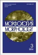 Морфология №3 2016
