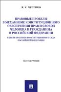 Правовые пробелы в механизме конституционного обеспечения прав и свобод человека и гражданина в Российской Федерации в свете практики Конституционного Суда Российской Федерации