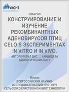 КОНСТРУИРОВАНИЕ И ИЗУЧЕНИЕ РЕКОМБИНАНТНЫХ АДЕНОВИРУСОВ ПТИЦ CELO В ЭКСПЕРИМЕНТАХ IN VITRO И IN VIVO.