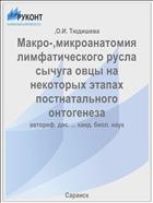 Макро-,микроанатомия лимфатического русла сычуга овцы на некоторых этапах постнатального онтогенеза