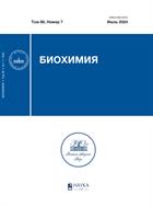Биохимия №7 2024