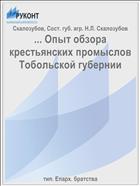 ... Опыт обзора крестьянских промыслов Тобольской губернии