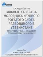 МЯСНЫЕ КАЧЕСТВА МОЛОДНЯКА КРУПНОГО РОГАТОГО СКОТА, РАЗВОДИМОГО В УЗБЕКИСТАНЕ