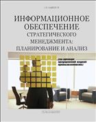Информационное обеспечение стратегического менеджмента: планирование и анализ (на примере предприятий медной промышленности) 