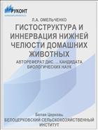 ГИСТОСТРУКТУРА И ИННЕРВАЦИЯ НИЖНЕЙ ЧЕЛЮСТИ ДОМАШНИХ ЖИВОТНЫХ