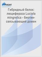 Гибридный белок: люцифераза Luciola mingrelica - биотин-связывающий домен