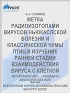 МЕТКА РАДИОИЗОТОПАМИ ВИРУСОВ НЬЮКАСЛСКОЙ БОЛЕЗНИ И КЛАССИЧЕСКОЙ ЧУМЫ ПТИЦ И ИЗУЧЕНИЕ РАННЕЙ СТАДИИ ВЗАИМОДЕЙСТВИЯ ВИРУСА С КЛЕТКОЙ