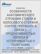 ОСОБЕННОСТИ АНАТОМИЧЕСКОГО СТРОЕНИЯ СТЕБЛЯ И КОЛОСОВОГО СТЕРЖНЯ СОРТОВ ТРИТИКАЛЕ В СВЯЗИ С ПРОДУКТИВНОСТЬЮ КОЛОСА И УСТОЙЧИВОСТЬЮ К ПОЛЕГАНИЮ