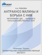 АНТРАКНОЗ МАЛИНЫ И БОРЬБА С НИМ