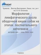 Морфология лимфатического русла ободочной кишки собак на этапах  постнатального онтогенеза
