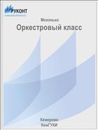 Оркестровый класс