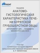 АНАТОМО-ГИСТОЛОГИЧЕСКАЯ ХАРАКТЕРИСТИКА ПЕЧЕ­НИ БУРЯТСКОЙ ГРУБОШЕРСТНОЙ ОВЦЫ
