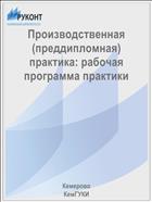 Производственная (преддипломная) практика: рабочая программа практики