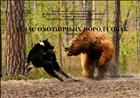 Атлас охотничьих пород собак