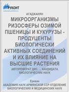 МИКРООРГАНИЗМЫ РИЗОСФЕРЫ ОЗИМОЙ ПШЕНИЦЫ И КУКУРУЗЫ - ПРОДУЦЕНТЫ БИОЛОГИЧЕСКИ АКТИВНЫХ СОЕДИНЕНИЙ И ИХ ВЛИЯНИЕ НА ВЫСШИЕ РАСТЕНИЯ