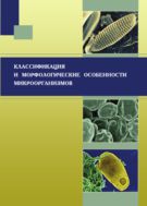 Классификация и морфологические особенности микроорганизмов