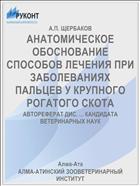 АНАТОМИЧЕСКОЕ ОБОСНОВАНИЕ СПОСОБОВ ЛЕЧЕНИЯ ПРИ ЗАБОЛЕВАНИЯХ ПАЛЬЦЕВ У КРУПНОГО РОГАТОГО СКОТА