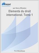 Elements du droit international. Tome 1