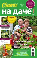 Сваты на даче
