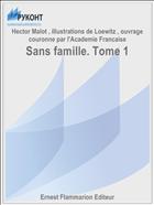 Sans famille. Tome 1