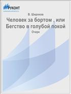 Человек за бортом , или Бегство в голубой покой